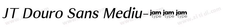 JT Douro Sans Mediu字体转换